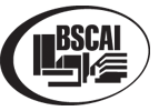 BSCAI Logo